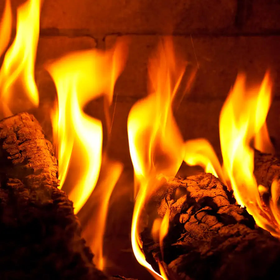 Campfire Memories