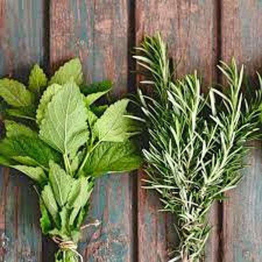 Rosemary & Mint